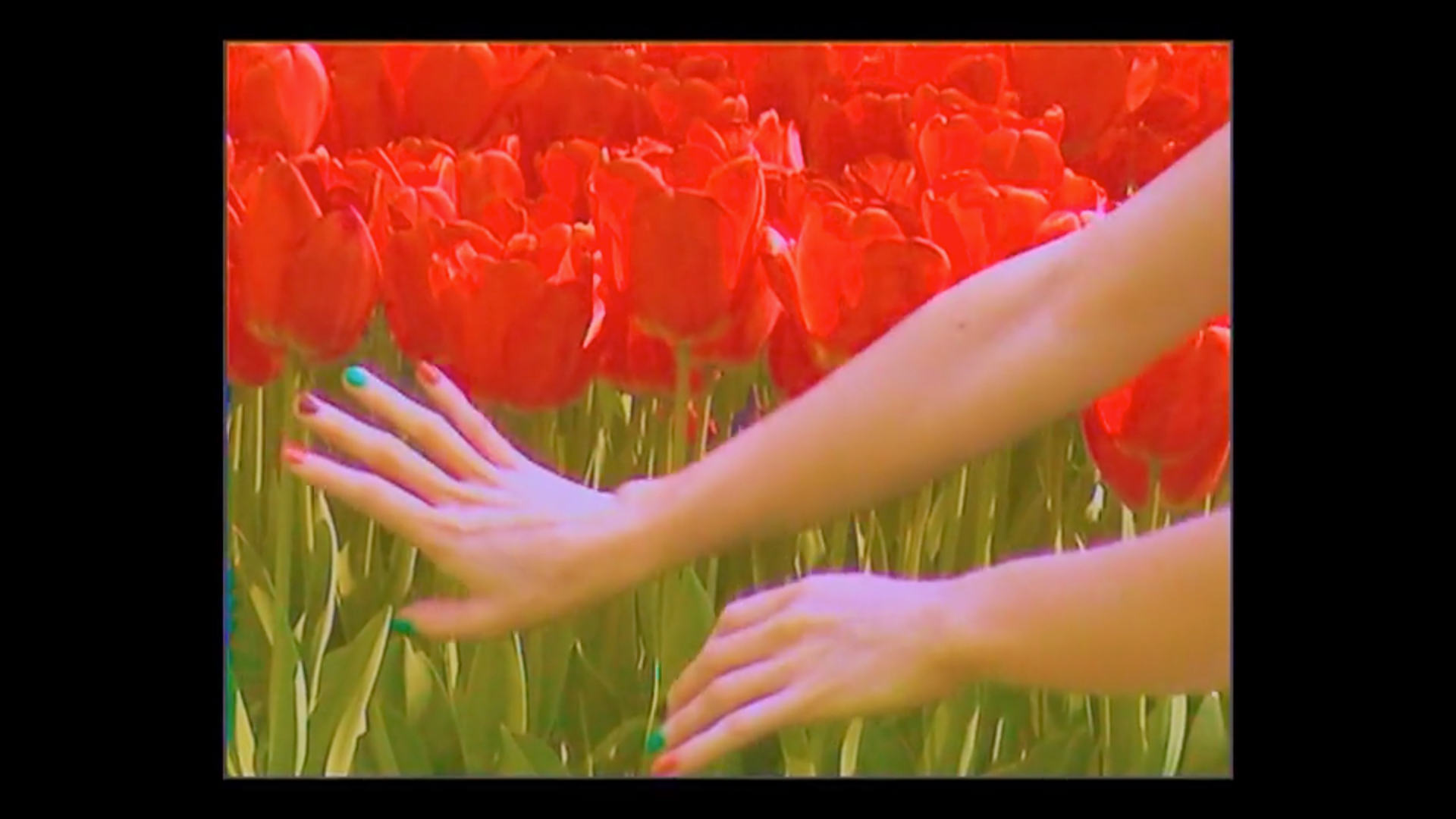 conte-printemps conte-printemps